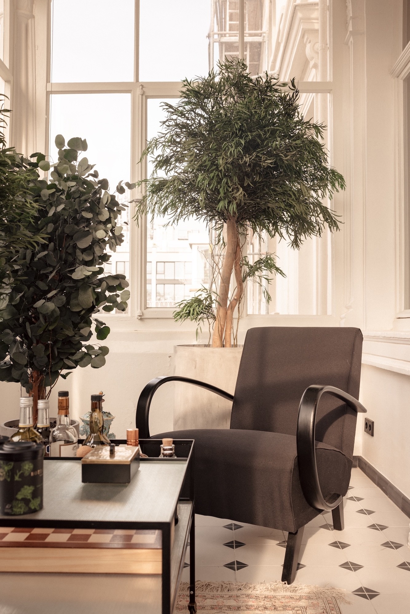 THE COLLECTORS APARTMENT